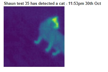 Cat detected