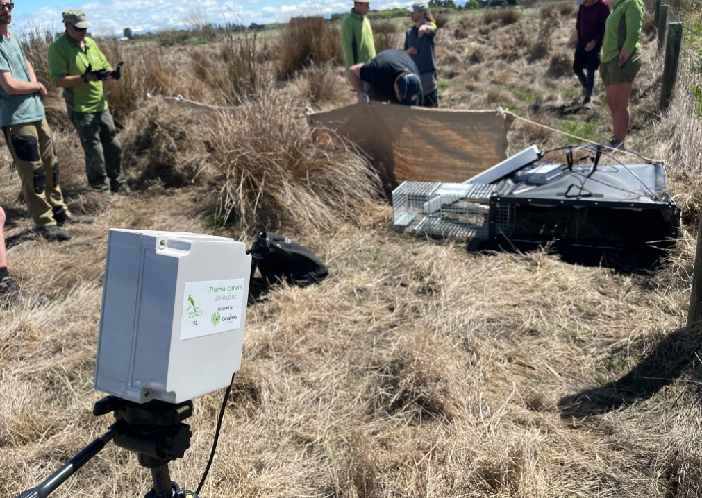 DOC trap at Te Waihora