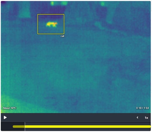 New video player on the Cacophony Project portal